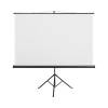 Projection Screens