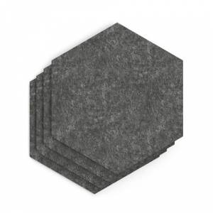 SCH00307
