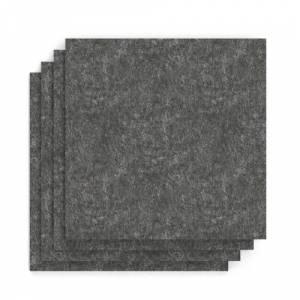 SCH00317