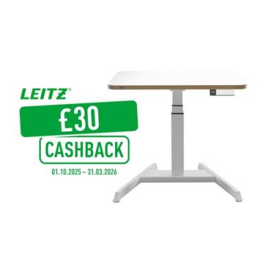 LZ13838
