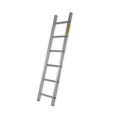 404993