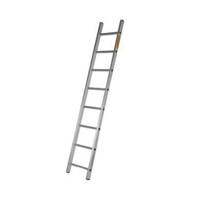 404995