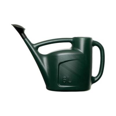 WFH01638