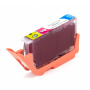 23510075