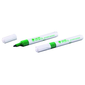 Green+Whiteboard+Marker+Pens+Bullet+Tip+%28Pack+of+10%29+WB15+804018