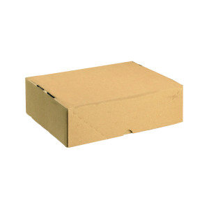Carton+with+Lid+305x215x100mm+Brown+%28Pack+of+10%29+144667114