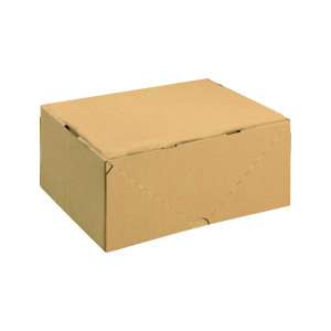 Carton+with+Lid+305x215x150mm+Brown+%28Pack+of+10%29+144668114