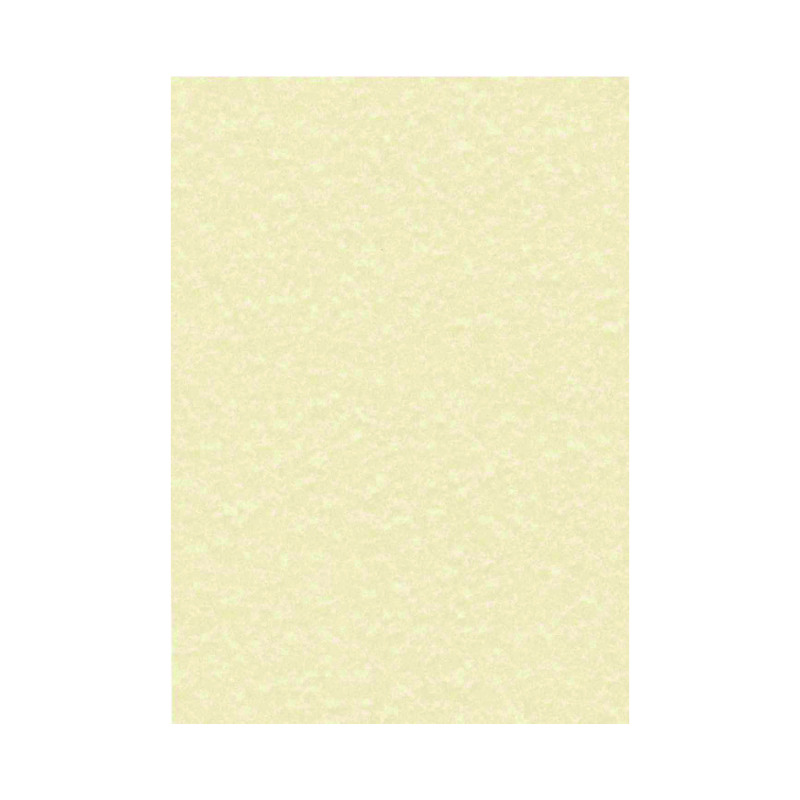 Decadry+Parchment+A4+Letterhead+Paper+95gsm+Champagne+%28Pack+of+100%29+PCL1601