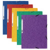 Europa Assorted Portfolio Files Pack of 10 55515E