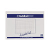 Guildhall Account Pad 14-Column Cash 298x406mm GP14