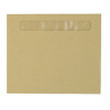 Custom Forms Pegasus Wage Envelopes (Pack of 1000) PF45