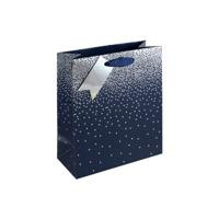 Eurowrap Gift Bag Navy Ombre Medium (Pack of 6) 30861-3C