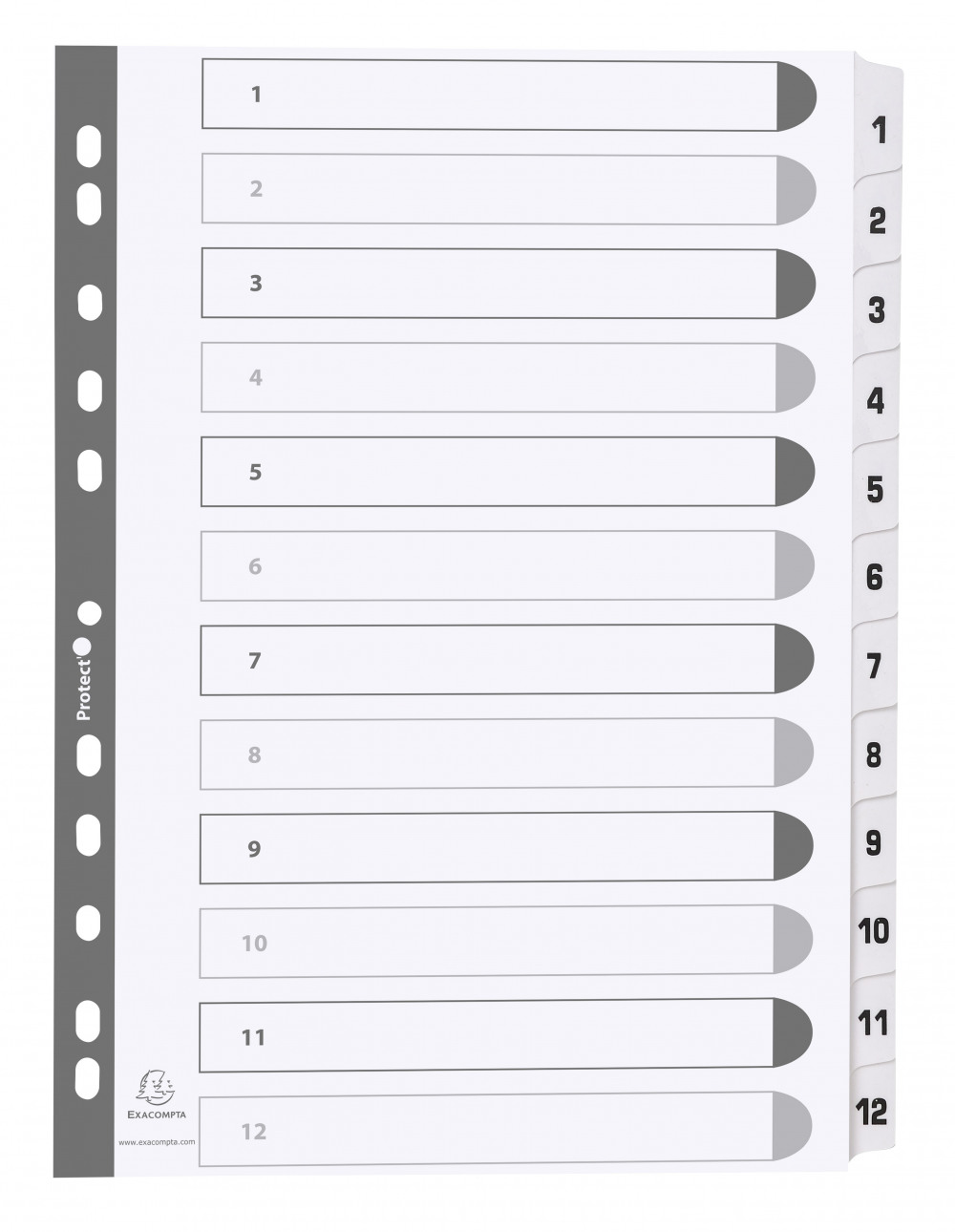 GUILDHALL 12 PT PRINTED INDEX CLR MYLAR