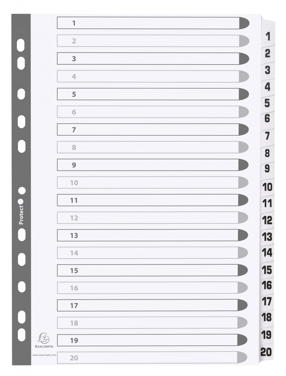 GUILDHALL 20 PT PRINTED INDEX CLR MYLAR