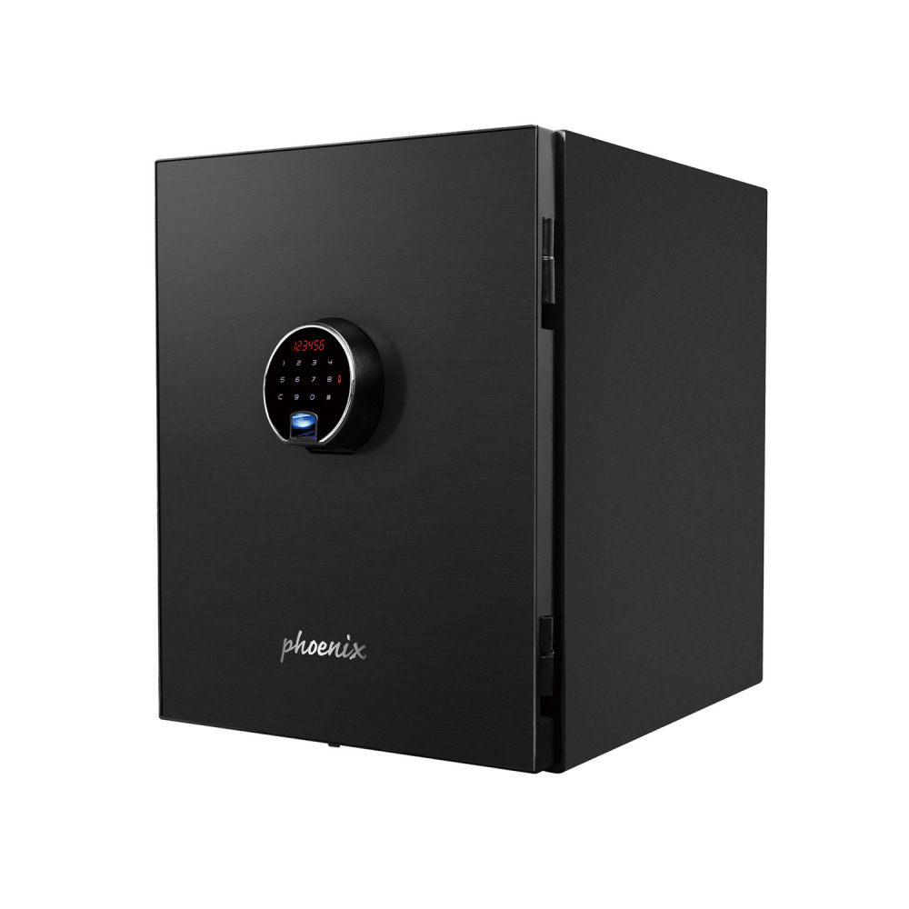 PHOENIX SPECTRUM PLUS LS6011FB FIRE SAFE