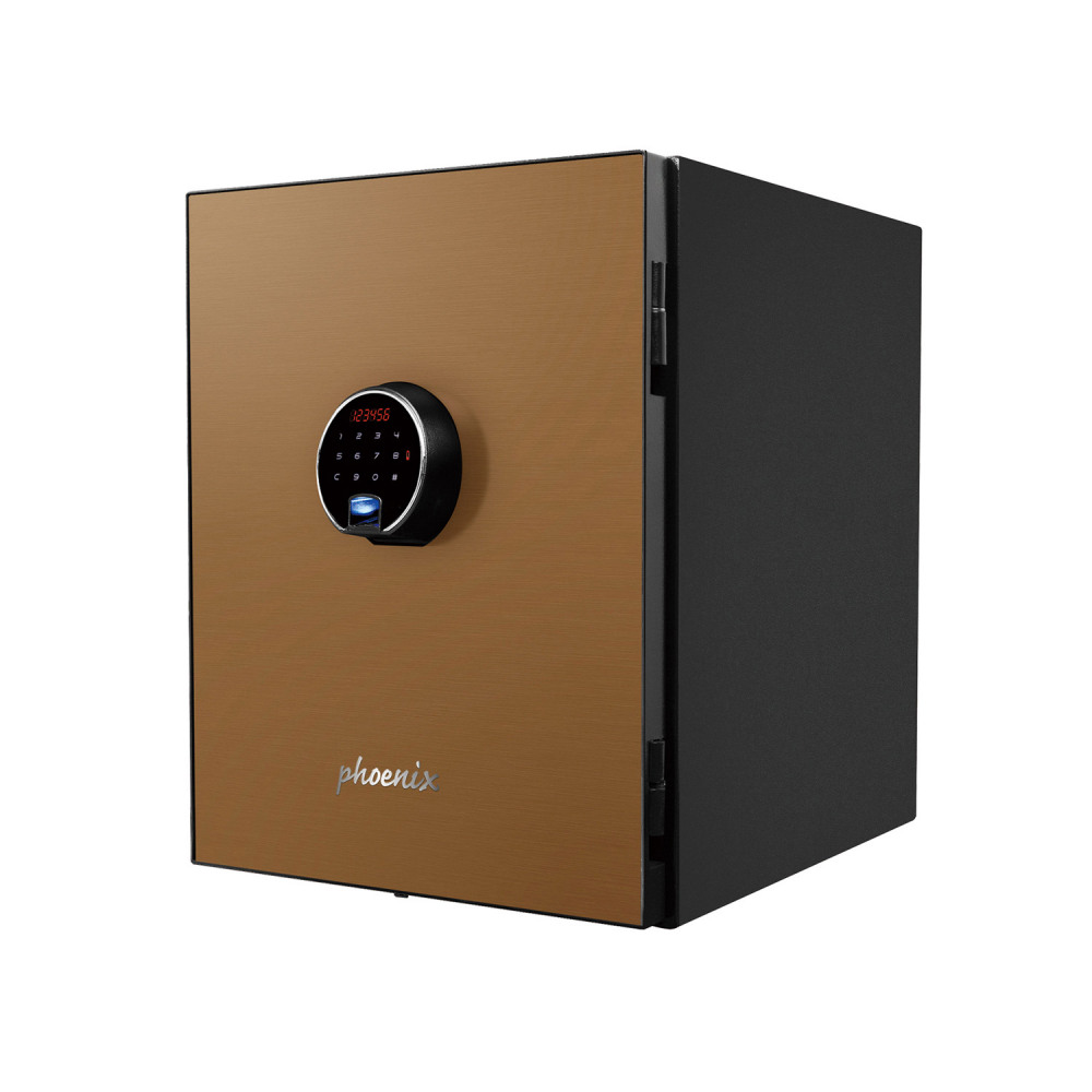 PHOENIX SPECTRUM PLUS LS6011FG FIRE SAFE
