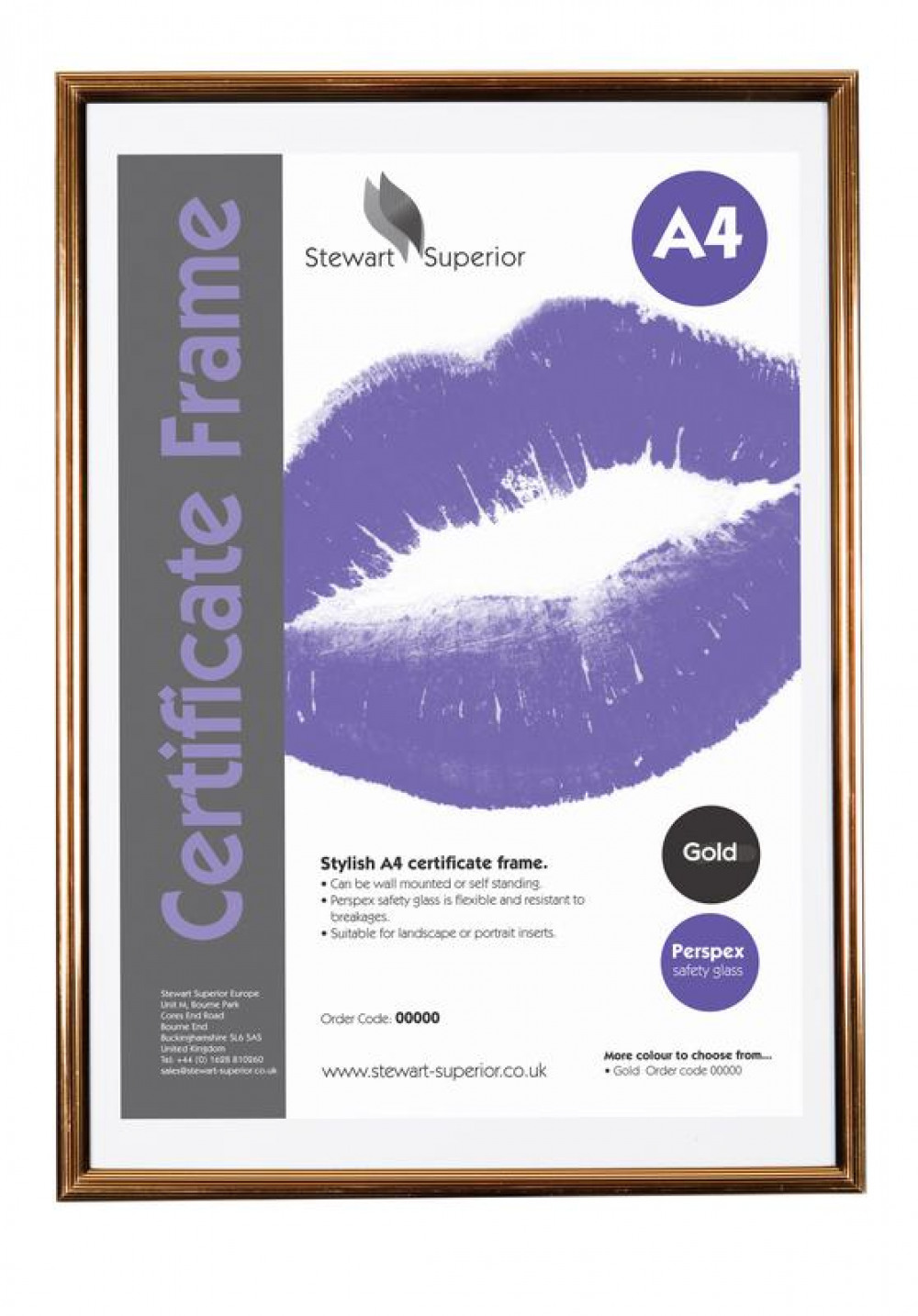 A4 PIN STRIPE CERTIFICATE FRAME BK GOLD
