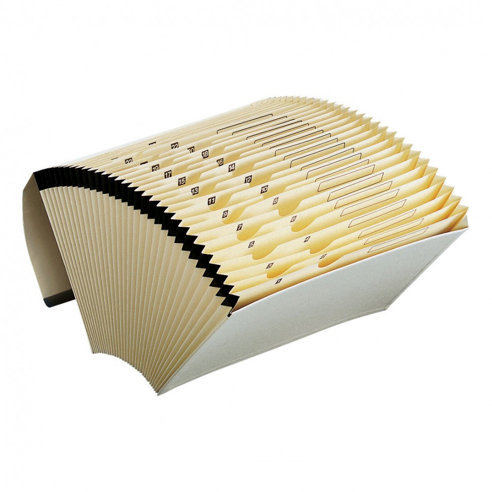 ECONOMY EXPG FILE 31 PKTS FC CREAM