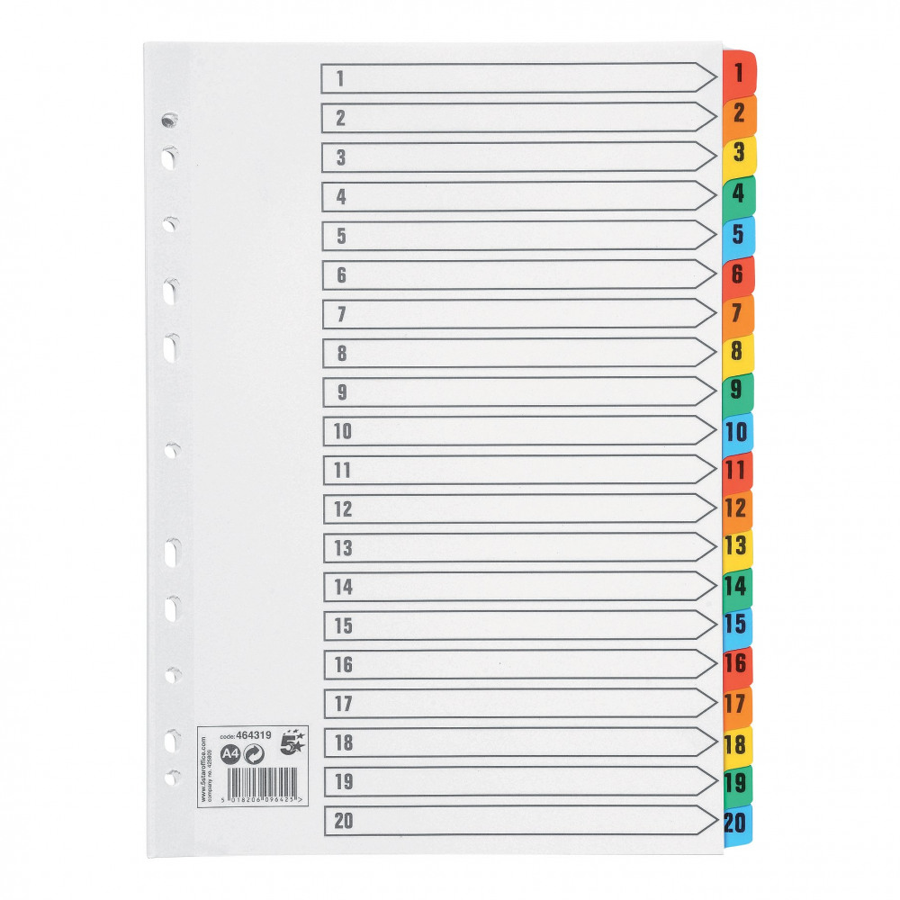 INDEX 1-20 MYLAR-REINF 160GSM A4 WHT