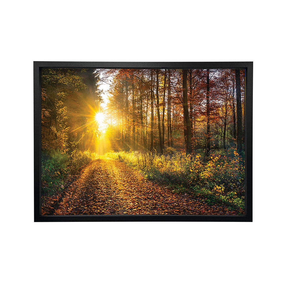 WOODLAND WALK IN AUTUMN FRAME PRT A2