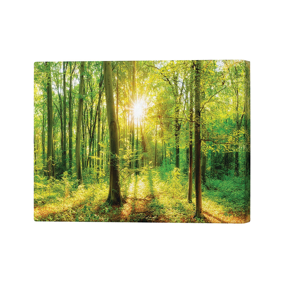 GREEN FOREST BEAUTY PRINT 26X40IN