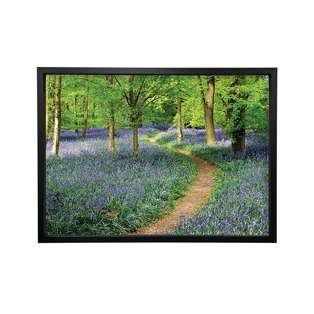 WALK THROUGH BLUEBELL FRAME PRINT A2