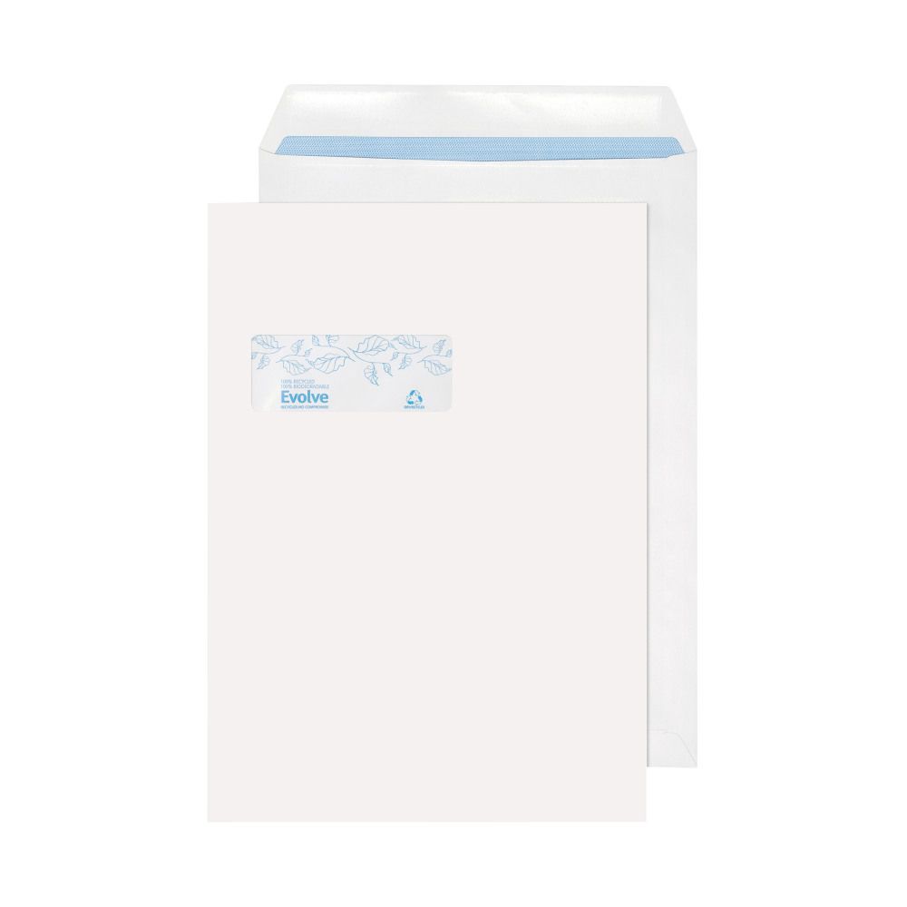 EVOLVE ENV C4 WD REC SS 100G WH P250