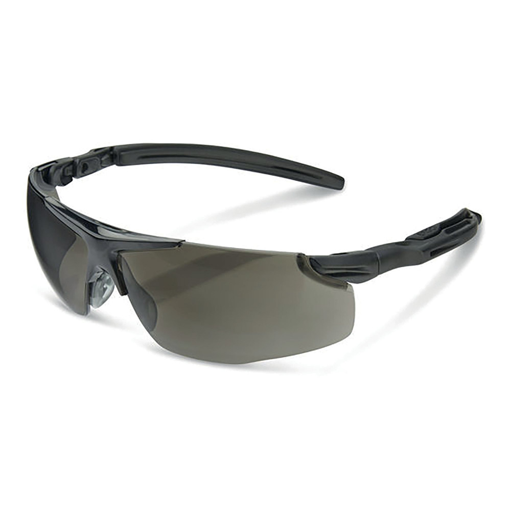 H50 ANTI-FOG ERG TEMPLE SPEC SMOKE