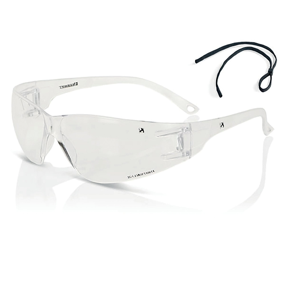 BEESWIFT WRAP AROUND SPECS CLEAR