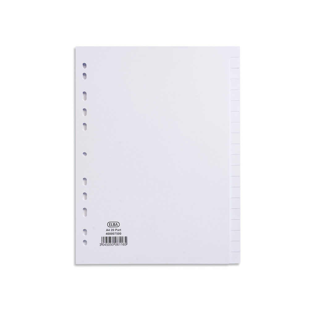 ELBA DIVID A4 20PT CARD 160G WHT