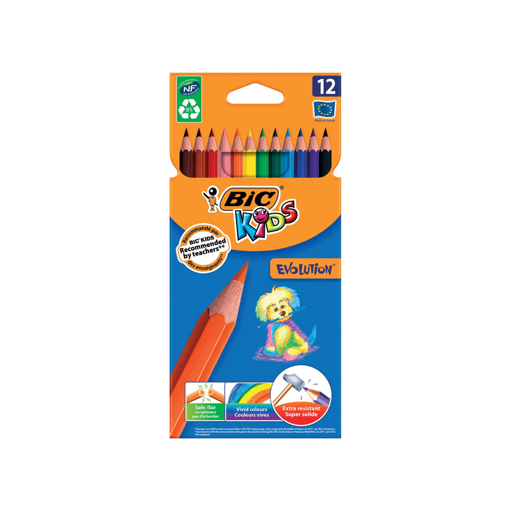 BIC KIDS ECOLUTION COL PENCILS PK12