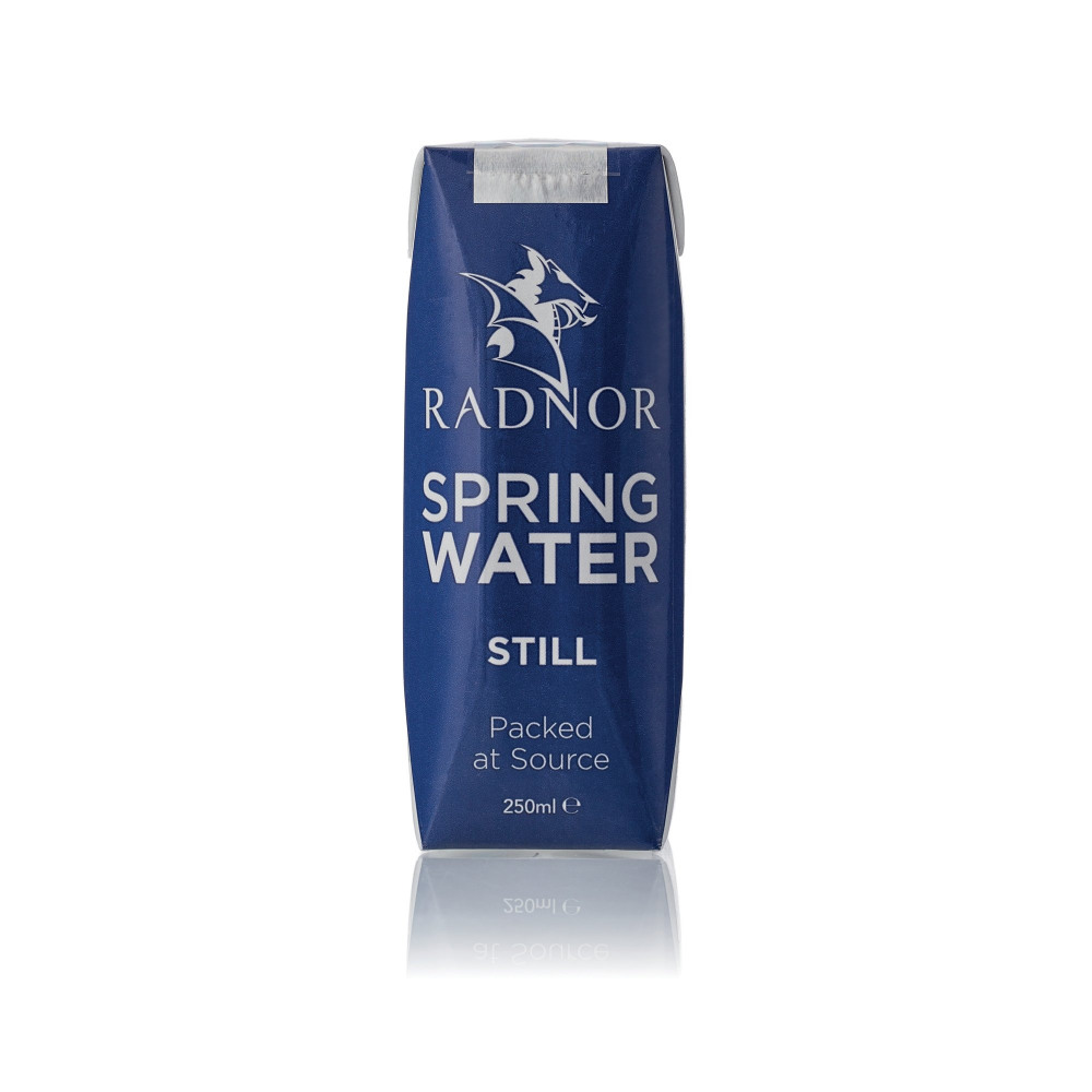 RADNOR STILL SPRING WATER 250ML PK24