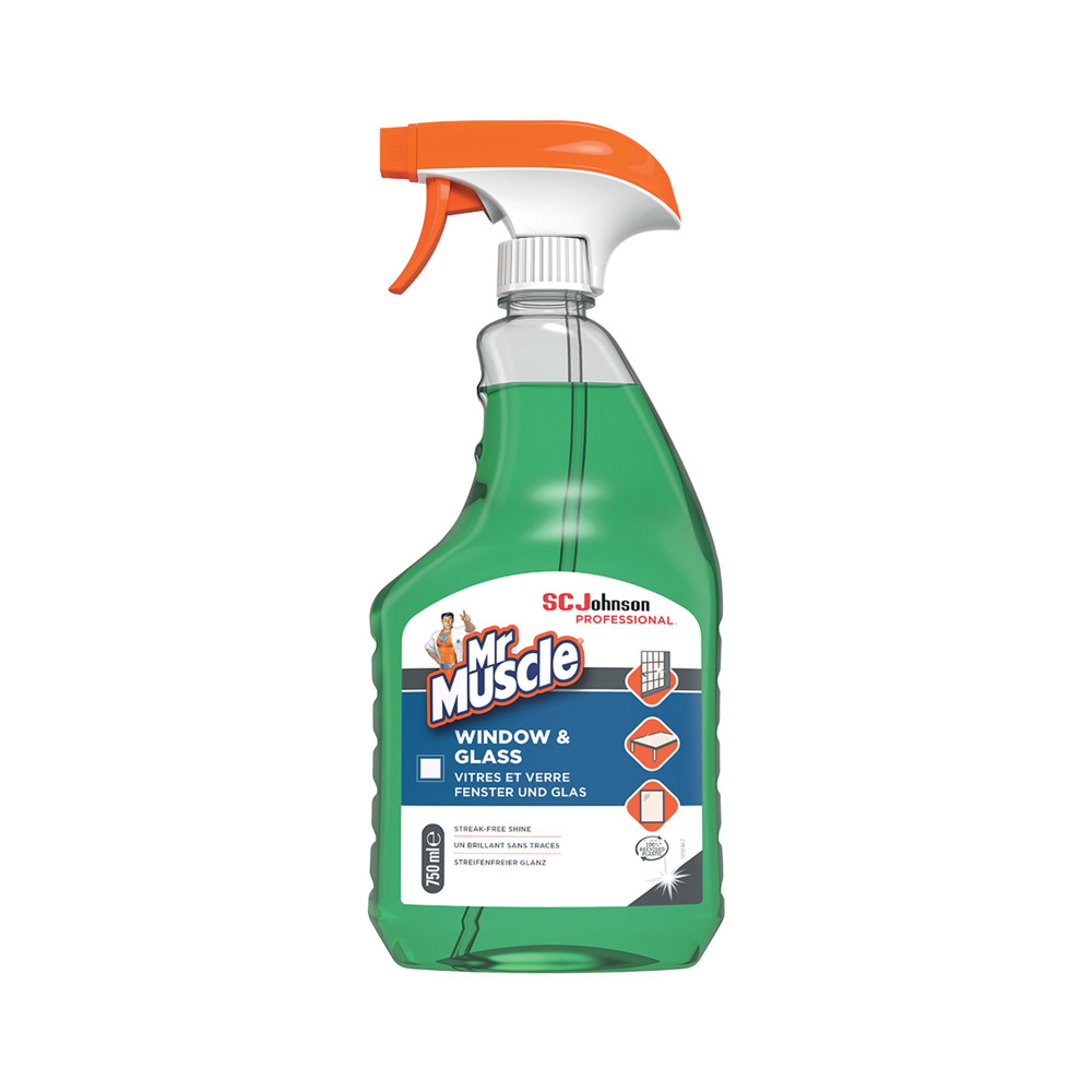 MR MUSCLE WINDOW AND GLASS 750ML