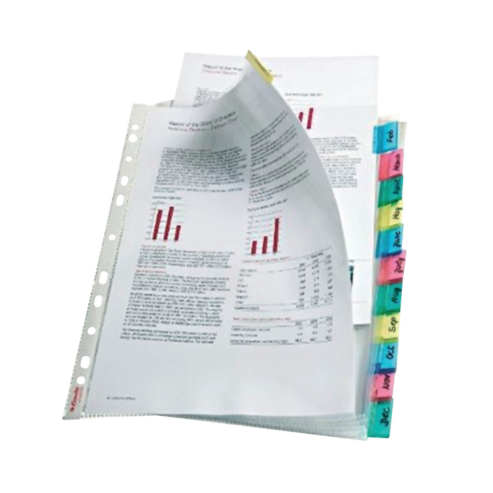 ESSELTE INDEX POCKETS 12 TAB AST