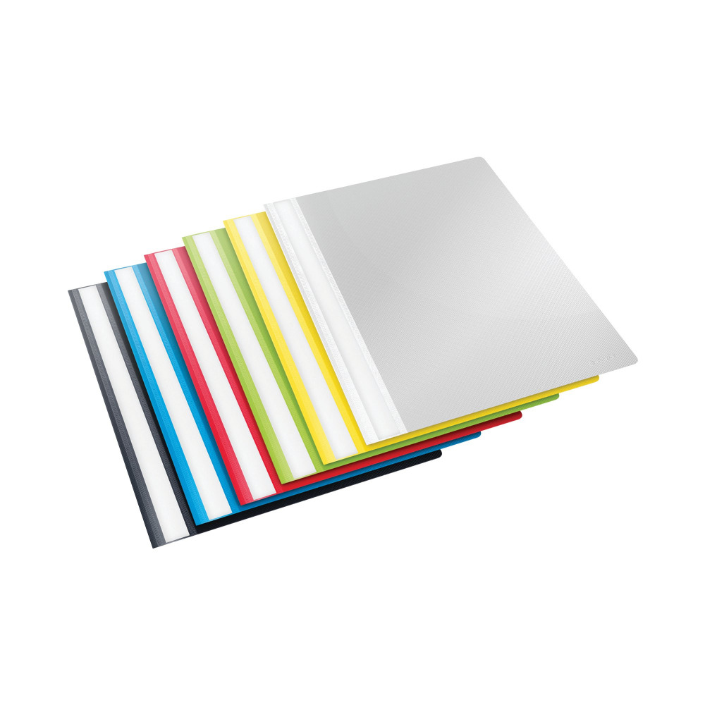 ESSELTE REPORT FILE A4 ASSORTED PK25
