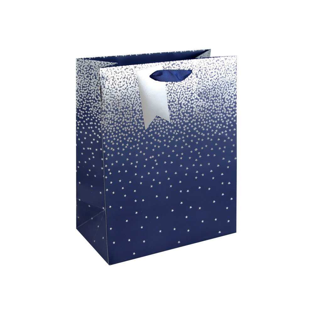 EUROWRAP NAVY OMBRE GIFT BAG LG PK6