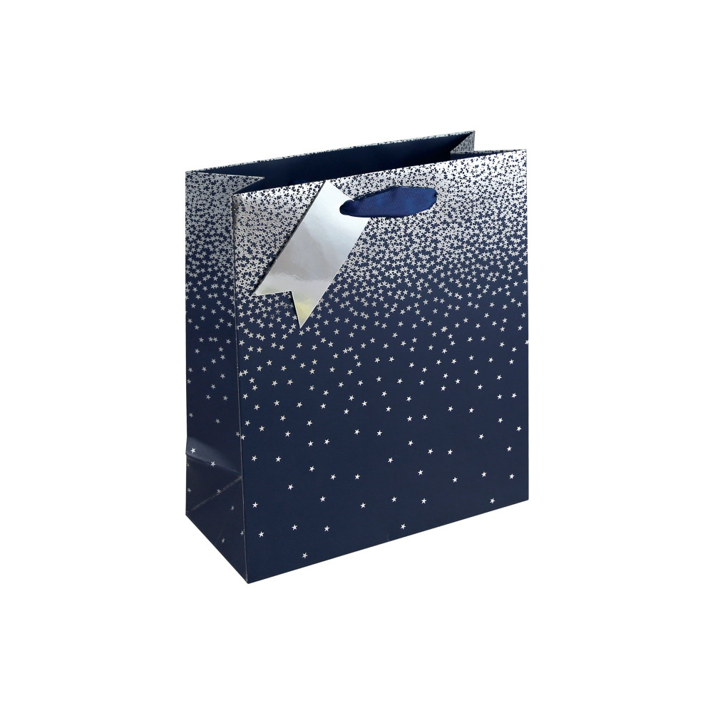 EUROWRAP NAVY OMBRE GIFT BAG MED PK6