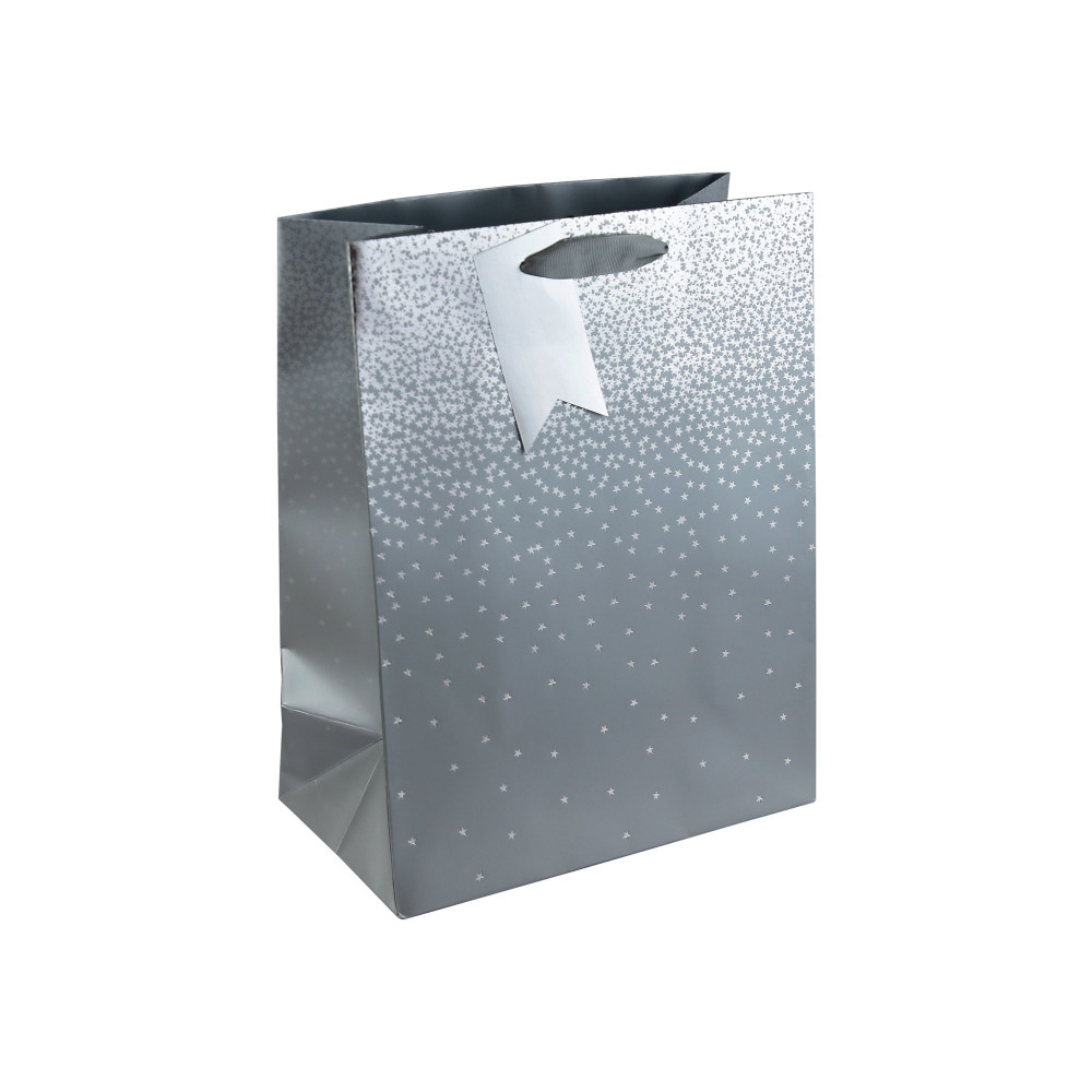 EUROWRAP SILVER OMBRE GIFT BG LG PK6