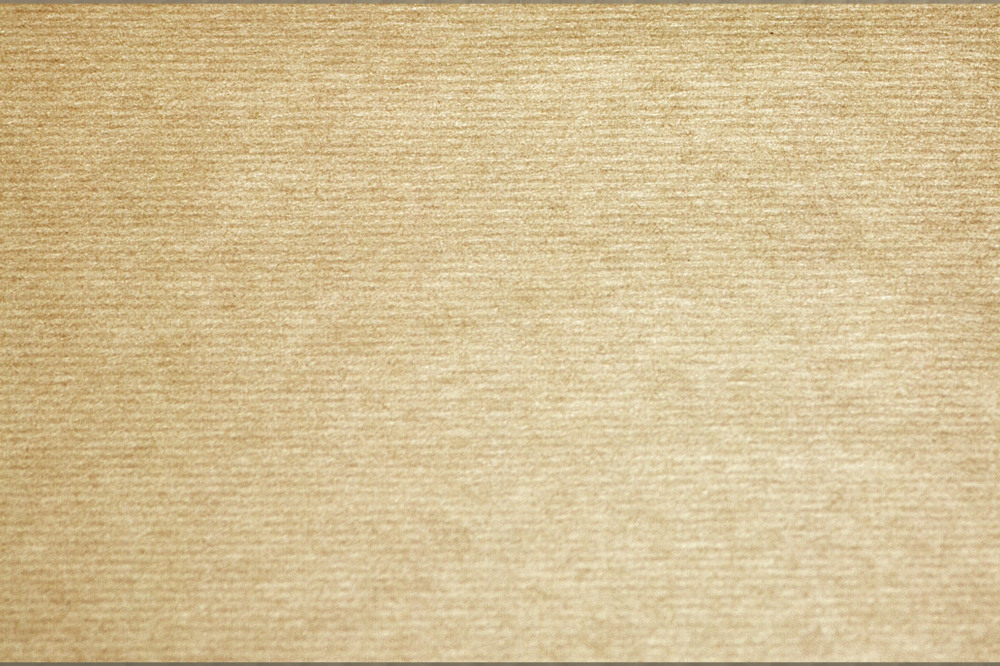EXACOMPTA COGIR PLACEMAT KRAFT PK500