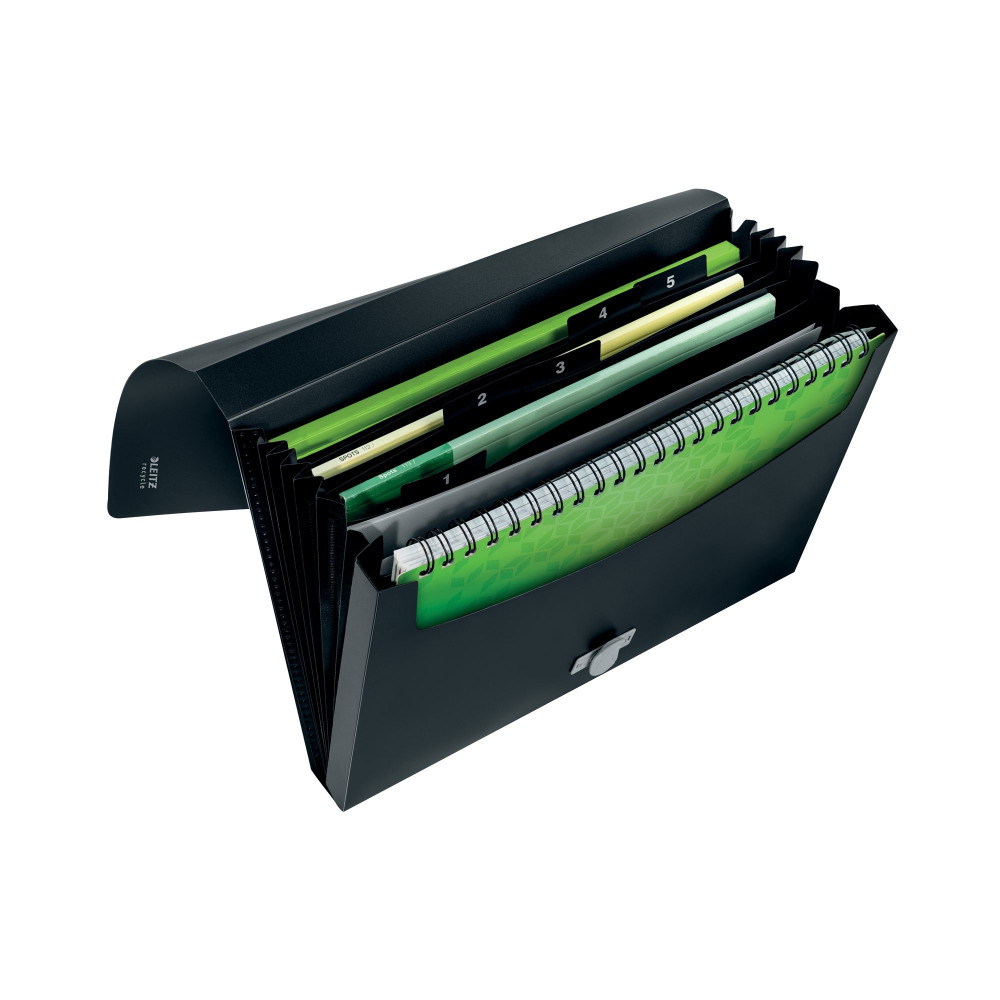LEITZ RECYC EXPG FILE 5PT A4 BLK PK5