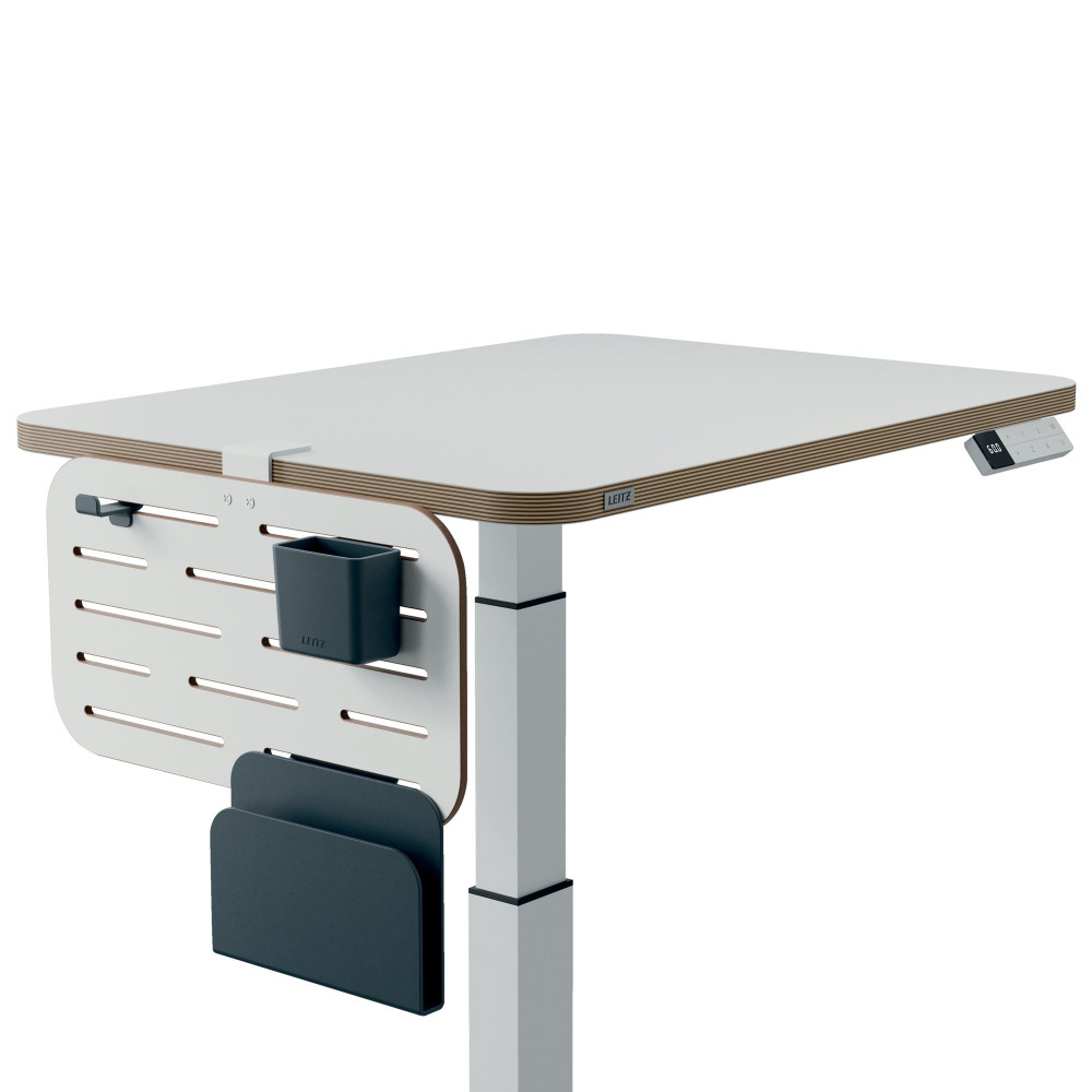 LEITZ ERGO SM PEGBRD DESK ORGANISER