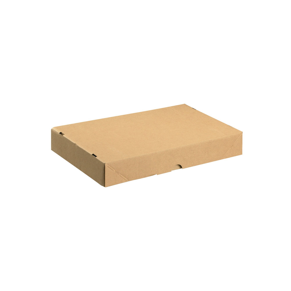 CARTON/LID 305X215X50MM BRN PK10