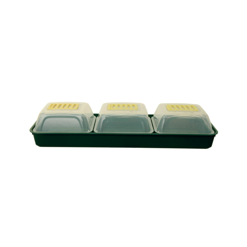 WHITEFURZE WINDOWSILL PROPAGATOR SET