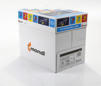 Color Copy Copier Paper Premium Super Smooth Ream-Wrapped 100gsm A4 White Ref CCW0324 [500 Sheets]