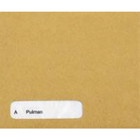 Custom Forms Sage Wage Envelope (Pack of 1000) SE45