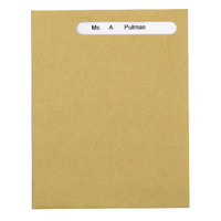 Custom Forms Sage Name Only Wage Envelope (Pack of 1000) SE46