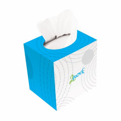 2Work Facial Tissue Cream Box 100 Tissues Per Box Pack 24
