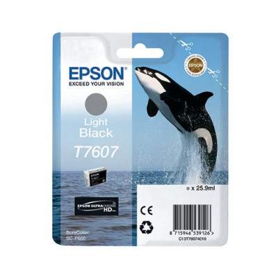Epson T7607 Light Black Ink Cartridge C13T76074010 / T7607
