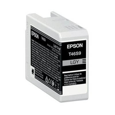 Epson T46S9 Light Grey UltraChrome Pro 10 Ink 25ml C13T46S900
