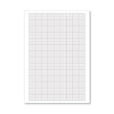 Loose Leaf Graph Paper A4 (Pack of 500) 100103410